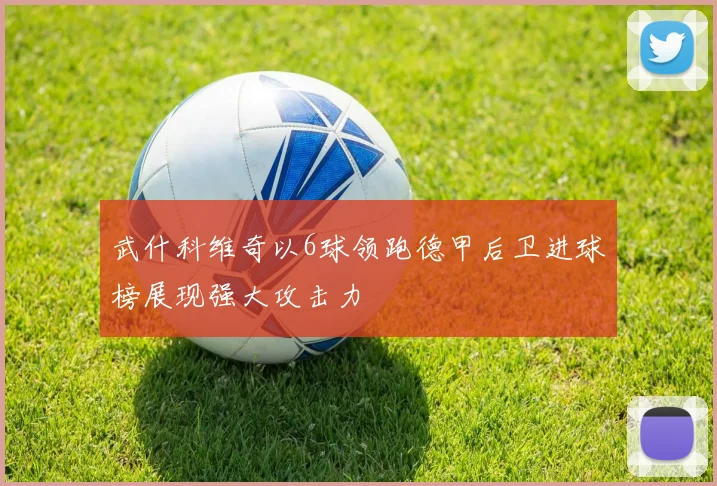 武什科维奇以6球领跑德甲后卫进球榜展现强大攻击力